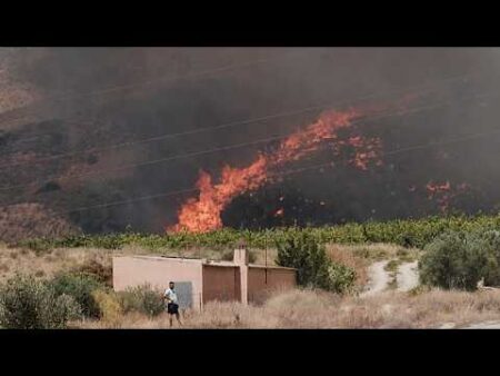 Majority of 12 victims of Spain wildfires believed to be foreigners, officials say Majority of 12 victims of Spain wildfires believed to be foreigners, officials say