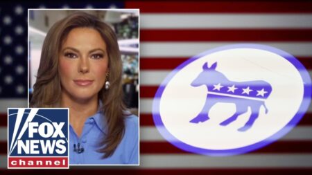 Lisa Boothe: Democrats want to DISMANTLE the system from within Lisa Boothe: Democrats want to DISMANTLE the system from within