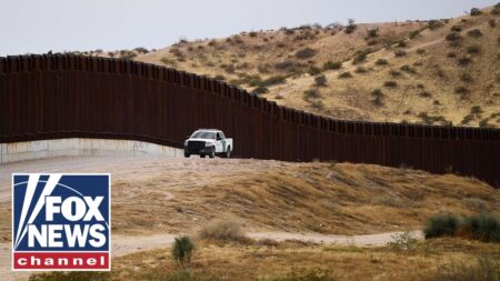 ‘FELONY’: Lawmaker pushes CRACKDOWN on birth tourism