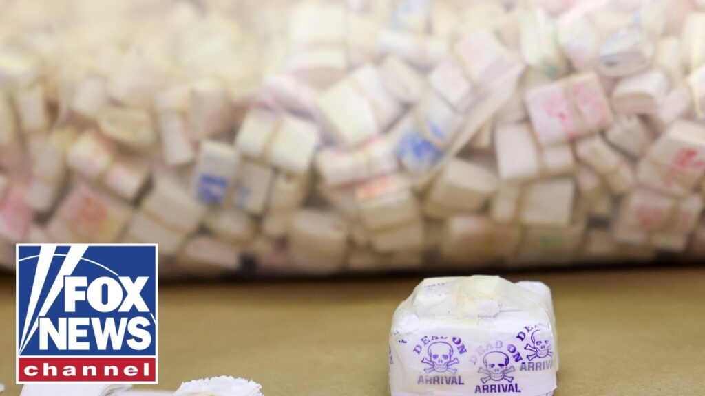 We’re working to SAVE American lives: ‘Drug czar’ Sara Carter