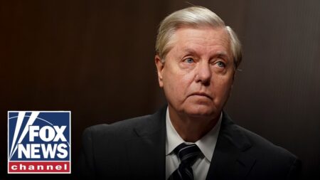 SEE IT: Lindsey Graham’s MOST DEFINING Senate moment