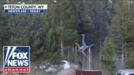 SHOCKING video: Bison sends tourist FLYING at Yellowstone National Park SHOCKING video: Bison sends tourist FLYING at Yellowstone National Park