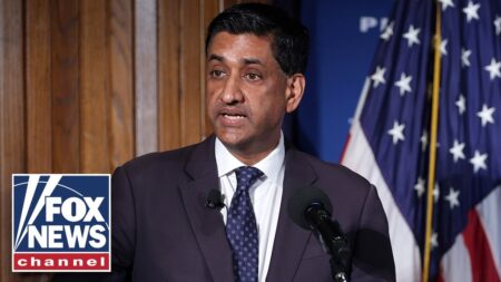 Democrat accuses IDF of LYING after West Bank detention