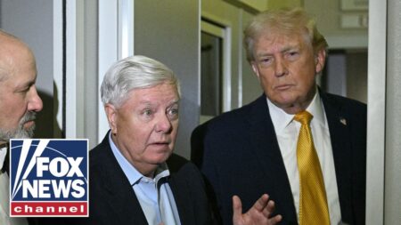 Trump backs Lindsey Graham’s sister for senate seat Trump backs Lindsey Graham’s sister for senate seat