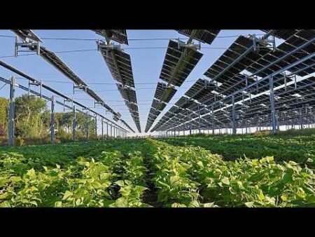 Solar generated record 25% of EU power in June with Germany, Spain and Poland leading the race
