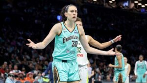 WNBA postpones game between Wings and Liberty due to mechanical issues with plane WNBA postpones game between Wings and Liberty due to mechanical issues with plane