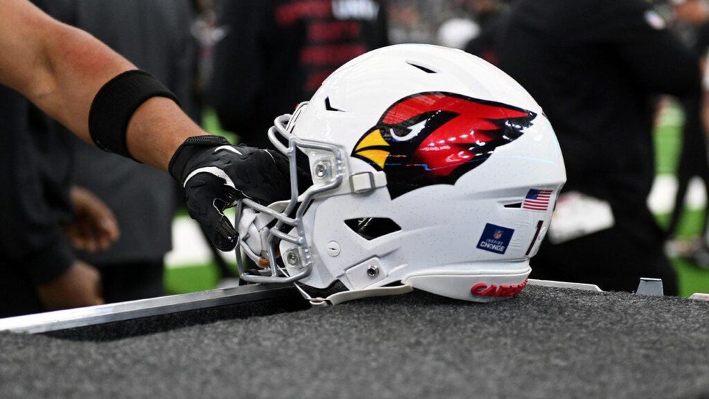 NFL suspends Arizona Cardinals executive for violating gambling policy, leaking draft info NFL suspends Arizona Cardinals executive for violating gambling policy, leaking draft info