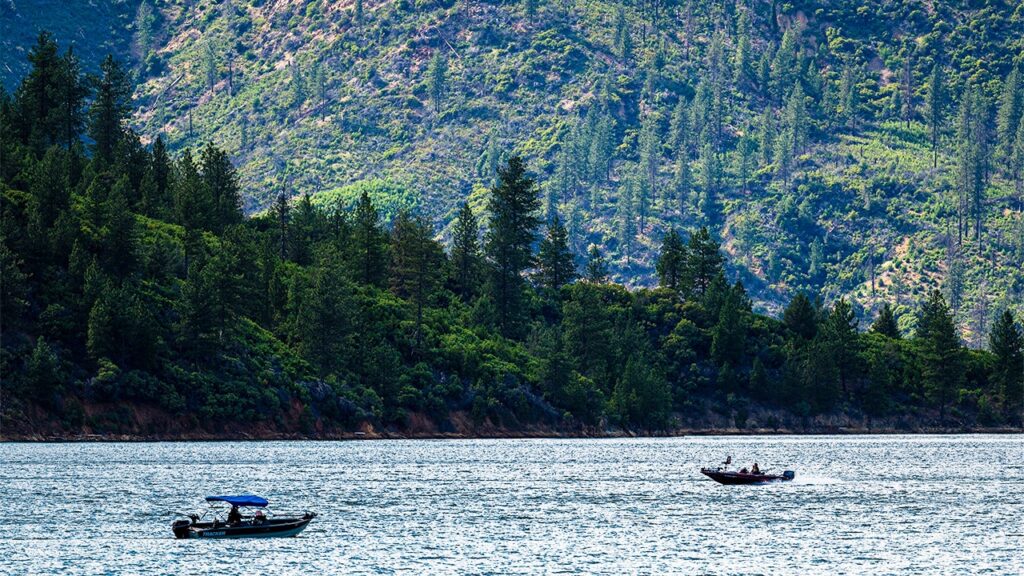 US forest service workers kidnapped, ziptied for hours by father-son duo: California AG US forest service workers kidnapped, ziptied for hours by father-son duo: California AG