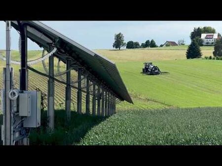 Saving Europe’s farmland: Agri-PV leads the way towards sustainable solar panel use