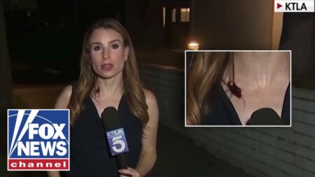 ‘The Five’: Reporter UNFAZED by cockroach