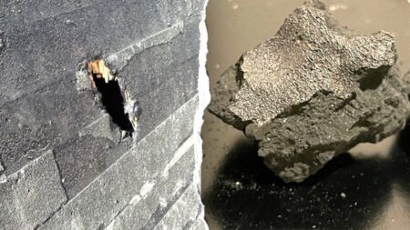Meteorite that crashed into NJ home holds building blocks of life, scientists say Meteorite that crashed into NJ home holds building blocks of life, scientists say