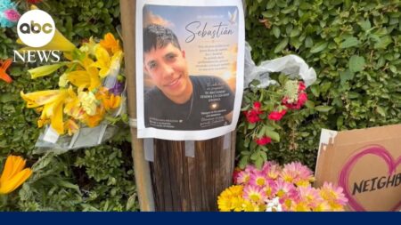New video footage shows moments before deadly ICE shooting