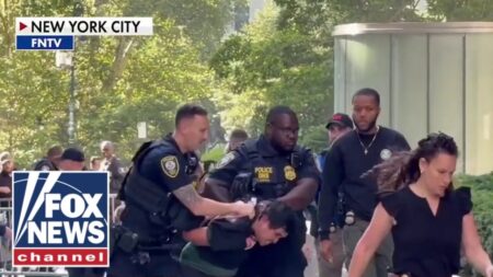 BREAKING: Man arrested for allegedly setting off incendiary device in NYC BREAKING: Man arrested for allegedly setting off incendiary device in NYC