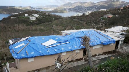 EXCLUSIVE: Woman who stole .7M meant for hurricane victims gets prison time as DHS cracks down on FEMA fraud