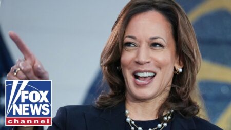 ‘The Five’: Is Kamala Harris the 2028 Democratic FRONT-RUNNER? ‘The Five’: Is Kamala Harris the 2028 Democratic FRONT-RUNNER?