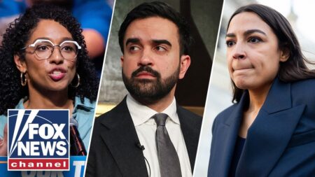 Lifelong Dem TORCHES far-left push for control of Democratic Party Lifelong Dem TORCHES far-left push for control of Democratic Party