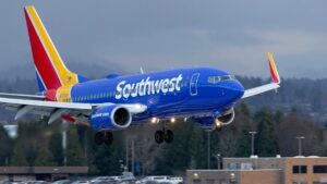 ICE arrests Southwest Airlines flight attendant in Nashville for allegedly overstaying visa since 2021 ICE arrests Southwest Airlines flight attendant in Nashville for allegedly overstaying visa since 2021