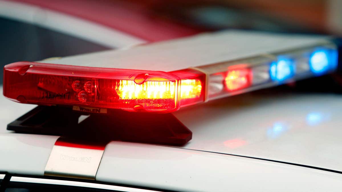 Close-up file photo of the flashing red and blue emergency lights on top of a police cruiser.