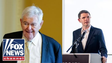 This is such deep, virulent anti-Americanism: Newt Gingrich