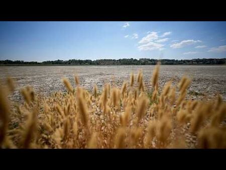 ‘Scorching, dry summers’: Heat rather than lack of rain is now to blame for Europe’s droughts