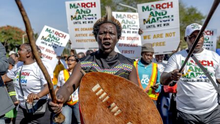 South Africa’s illegal migration backlash mirrors political battles across the West