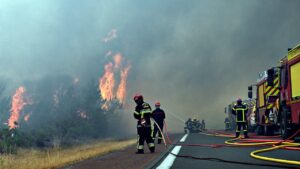 Wildfires displace more than 250,000 in France, threaten famed wine region Wildfires displace more than 250,000 in France, threaten famed wine region