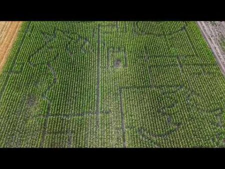Hungary opens fairy tale themed 4.5-hectare corn maze for visitors to explore