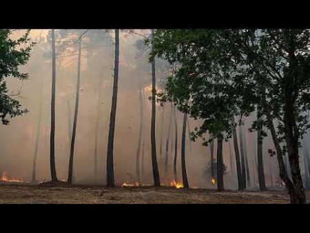 Evacuations ordered in Bordeaux suburbs as wildfires continue to ravage southern Europe