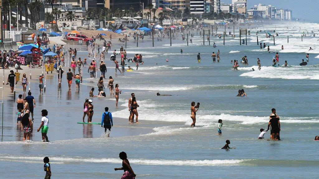 Shark Week dangers hit home as man is badly bitten while saving pregnant fiancée from harm