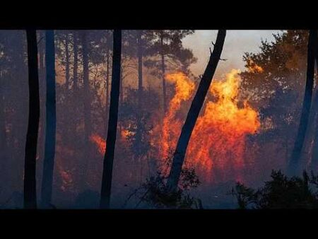 Southern Europe still battling wildfires as Spain declares national emergency in Madrid region Southern Europe still battling wildfires as Spain declares national emergency in Madrid region