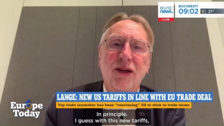 “That’s crazy”, MEP Lange says on Trump’s reason to impose new tariffs “That’s crazy”, MEP Lange says on Trump’s reason to impose new tariffs