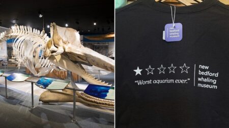 ‘Worst aquarium ever’ review sends whaling museum’s sales soaring 250%