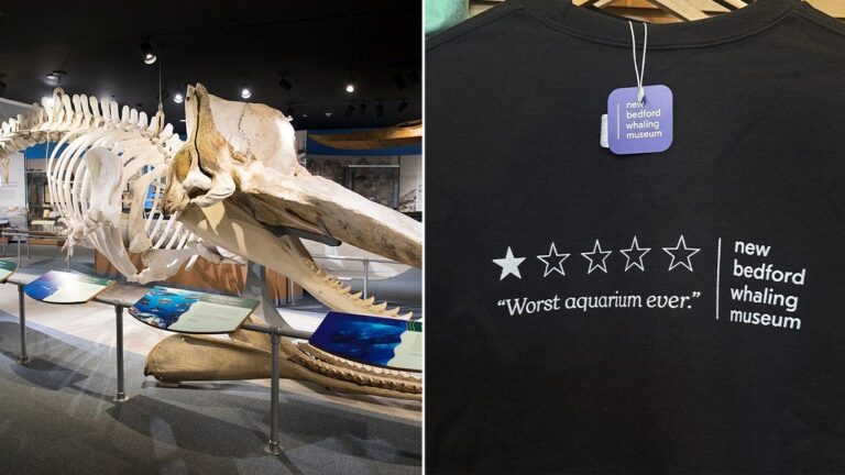‘Worst aquarium ever’ review sends whaling museum’s sales soaring 250% ‘Worst aquarium ever’ review sends whaling museum’s sales soaring 250%