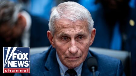 Innocent people DON’T invoke the Fifth: Sen. Josh Hawley