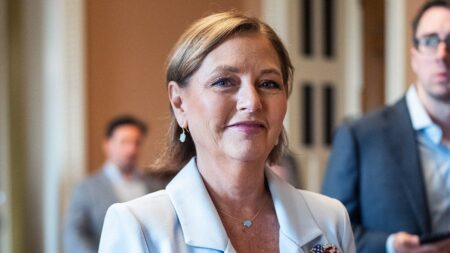 Sen Darline Graham drops campaign video on heels of brother’s funeral services amid tight primary timeline