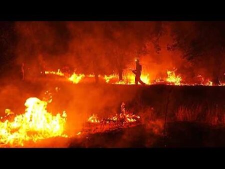 Spanish PM Sánchez calls out climate denial after devastating week of wildfires