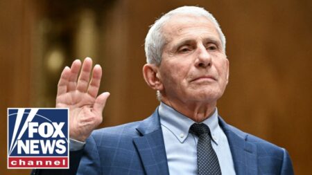 DETAILS: Fauci takes the fifth 111 TIMES