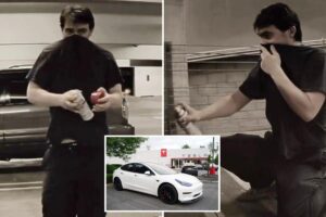 SoCal police hunting for Tesla bandit wanted for vandalizing more than a dozen vehicles in a week