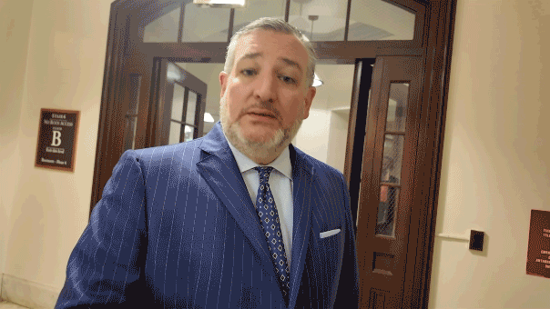 Ted Cruz demands Fauci face jail time, labels him as America’s ‘most damaging bureaucrat’ Ted Cruz demands Fauci face jail time, labels him as America’s ‘most damaging bureaucrat’