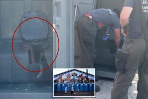 Wacko was trapped in porta-potty tank for eight hours after trying to retrieve Mountain Dew