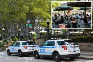 NYC homeless man hurls cell phone at baby in stroller during Bryant Park horror attack: cops NYC homeless man hurls cell phone at baby in stroller during Bryant Park horror attack: cops