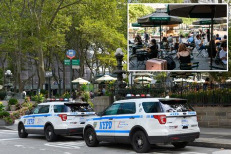 NYC homeless man hurls cell phone at baby in stroller during Bryant Park horror attack: cops NYC homeless man hurls cell phone at baby in stroller during Bryant Park horror attack: cops