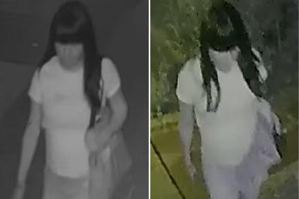 Police searching for creep who raped boy, 15, in back of NYC home Police searching for creep who raped boy, 15, in back of NYC home
