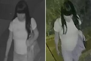 Police searching for creep who raped boy, 15, in back of NYC home Police searching for creep who raped boy, 15, in back of NYC home