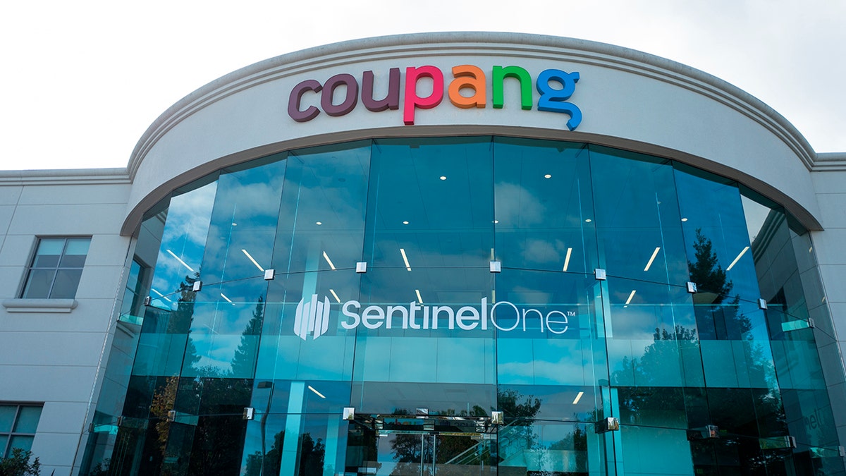Coupang And SentinelOne