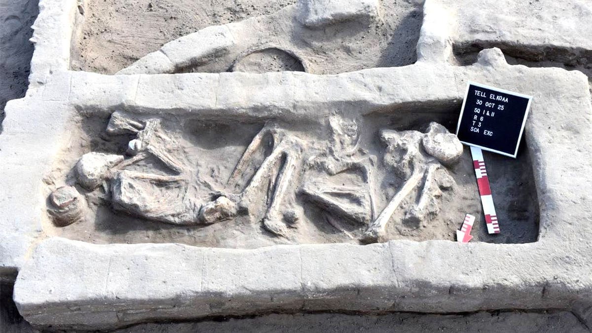 View of skeleton at tomb at archaeological site