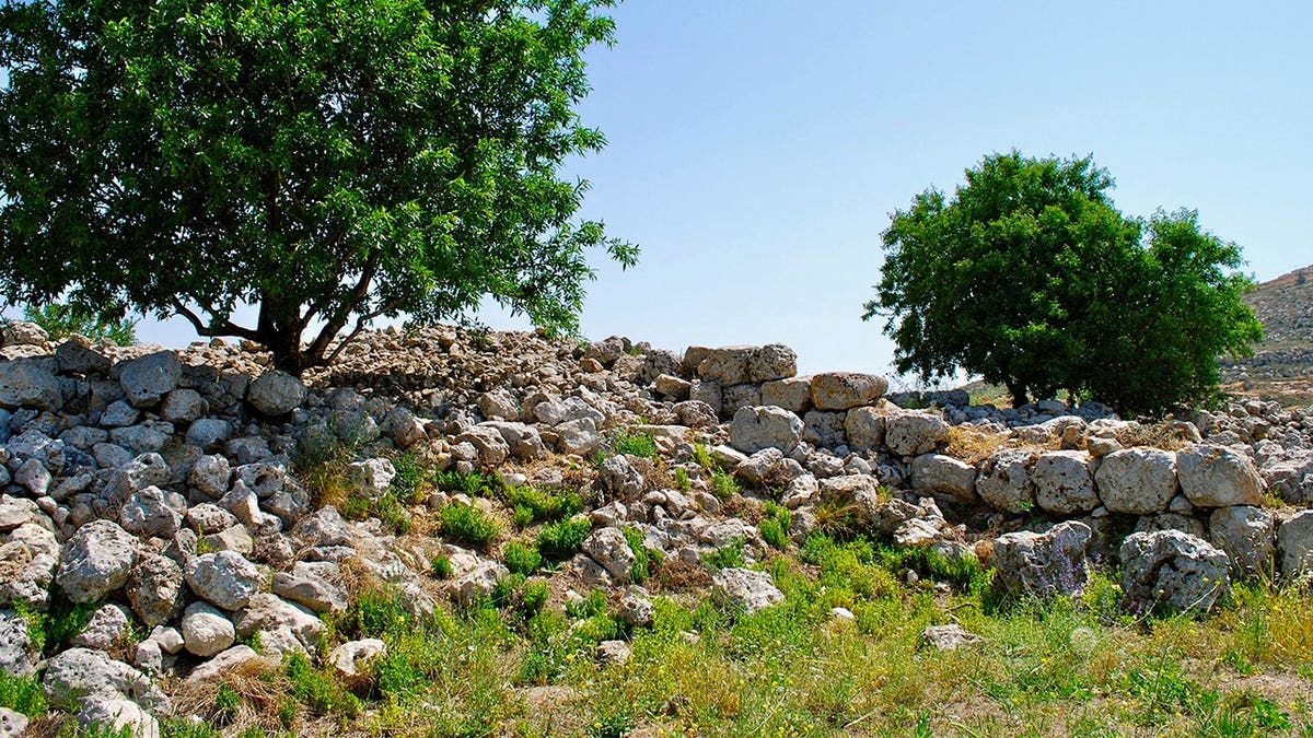 View of ruins, trees at Tel Shiloh
