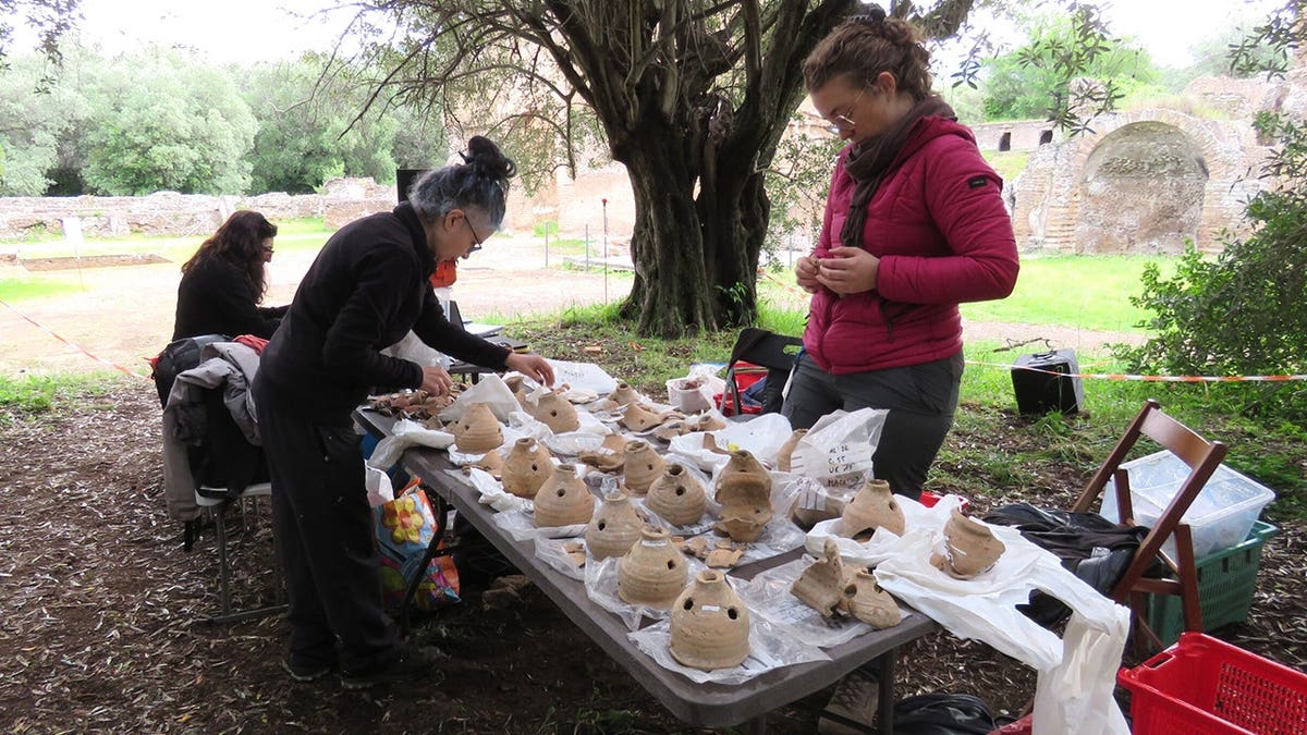 Archaeologists sorting through ceramics at dig site