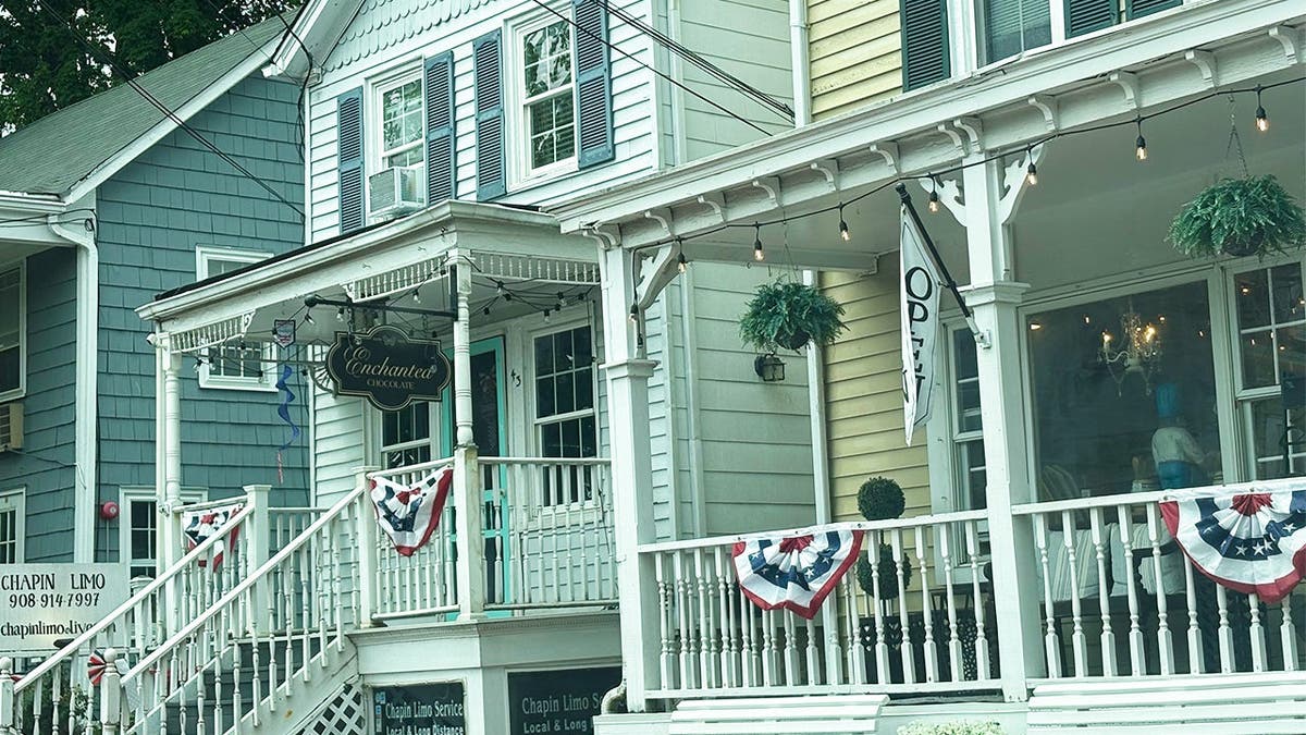 image shows Chester main street storefronts