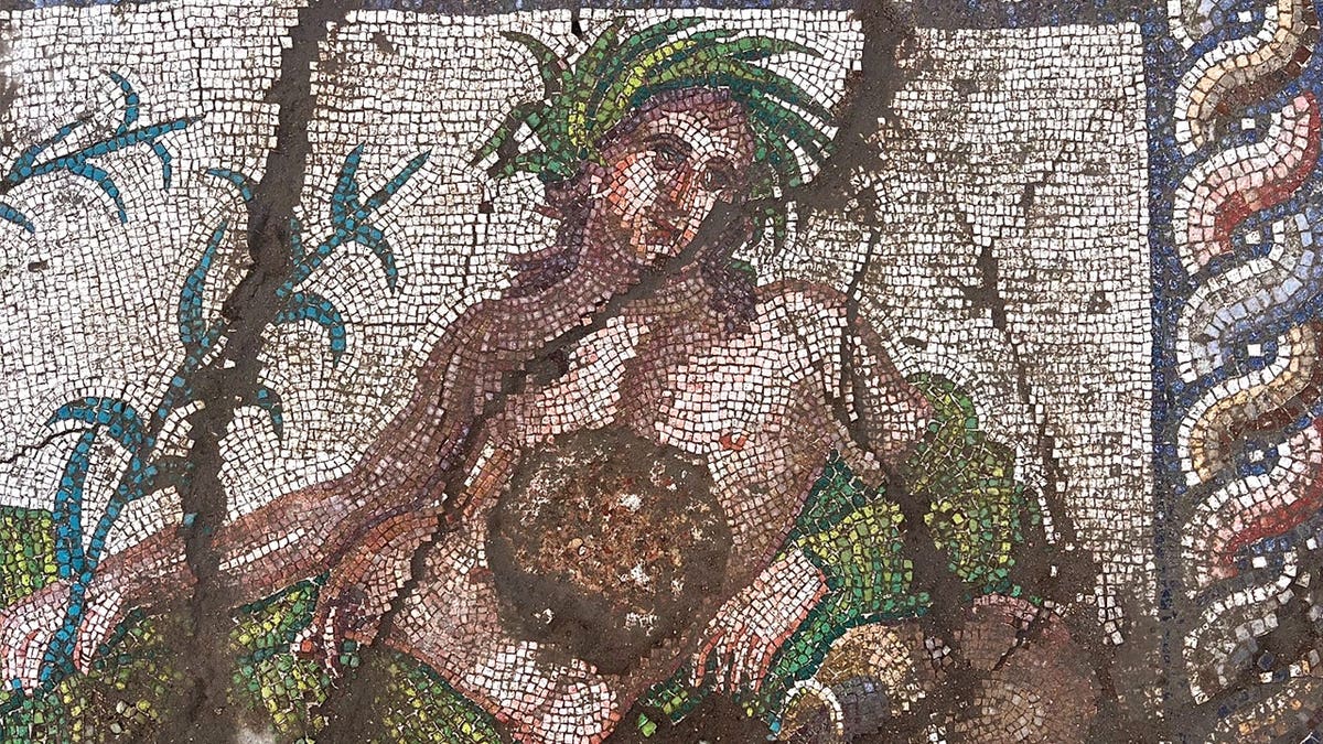 Close-up image of river god's face in mosaic